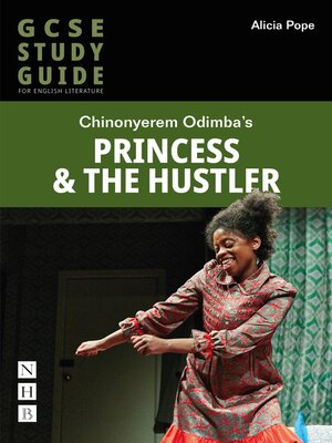 cover image of Princess & the Hustler